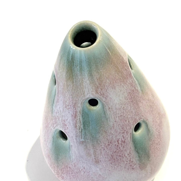 'Tulipiere' Assorted Colours