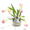 'Tulipiere Vase' Assorted