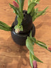 'Stacked Vase' Black