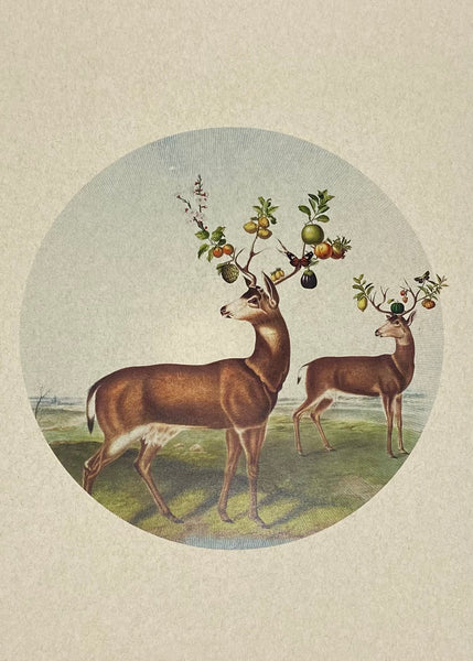 'Horns a Plenty'