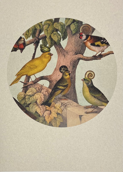 'Gaggle Hangouts'