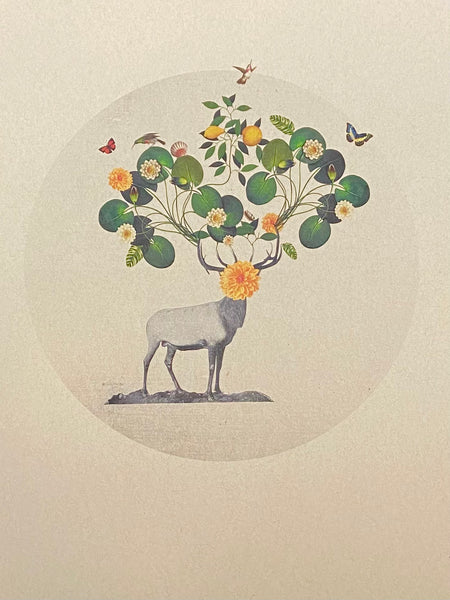 'Buck Wild'