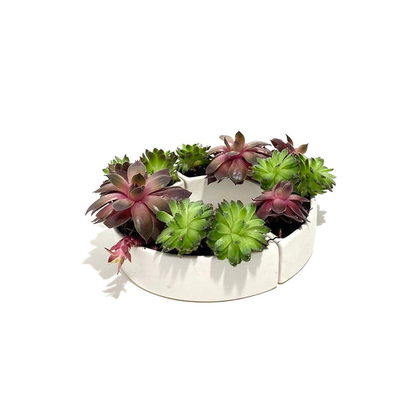 'Cecily Patio Table Planter' Small, Assorted Colours