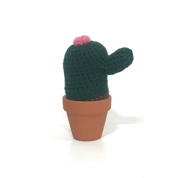 'Cactus'